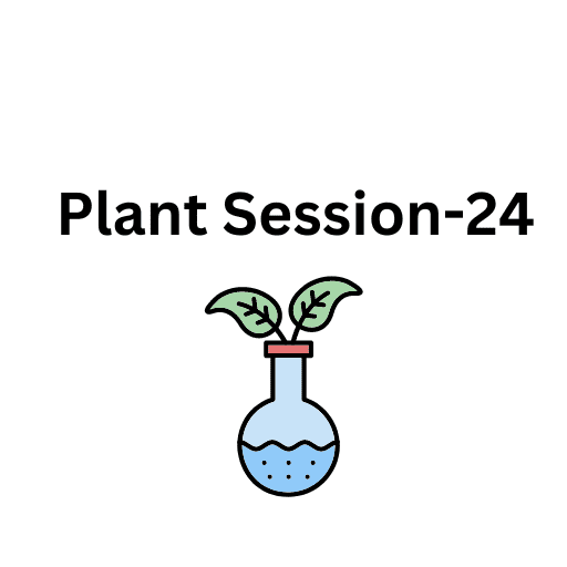 Plant Session-24